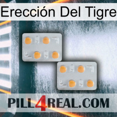 Erección Del Tigre 25